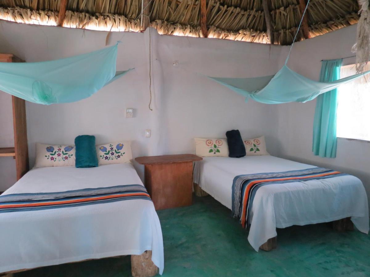 Cabanas Calakmul Conhuas Exteriér fotografie