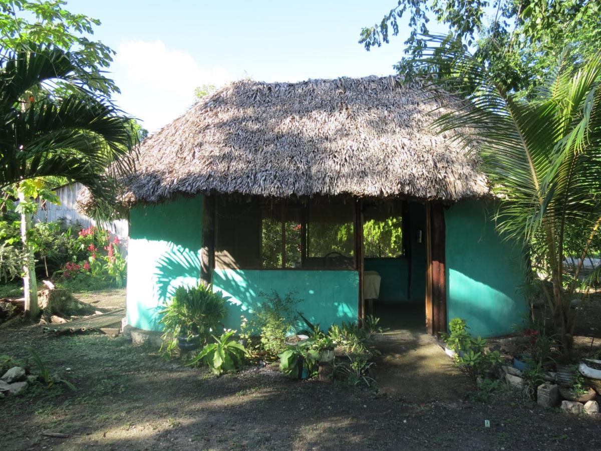 Vila Cabanas Calakmul Conhuas Exteriér fotografie