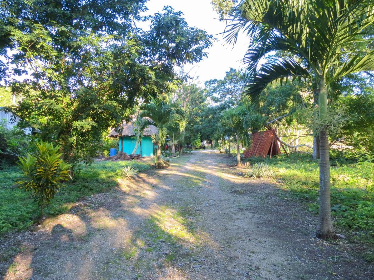 Vila Cabanas Calakmul Conhuas Exteriér fotografie