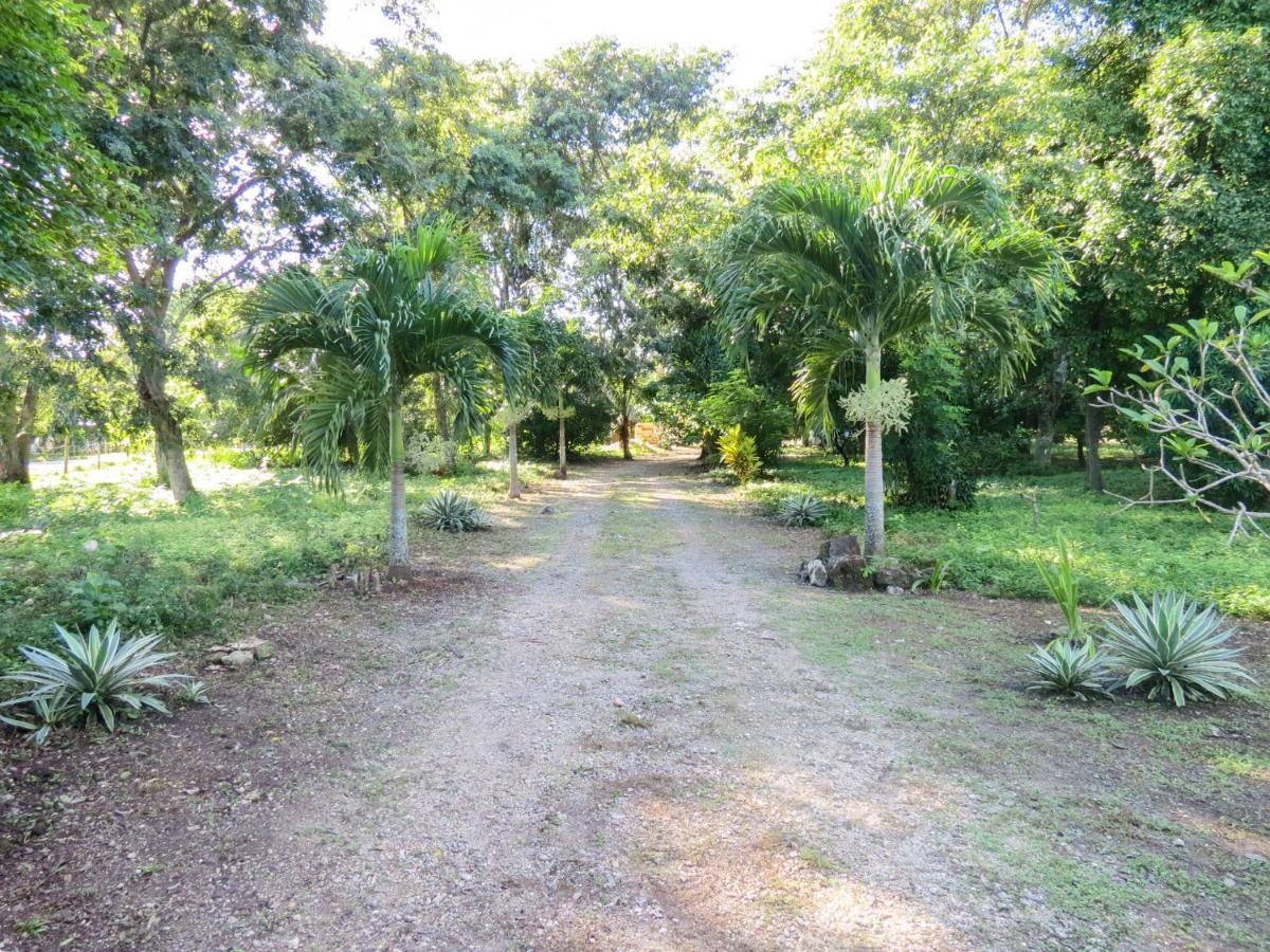 Vila Cabanas Calakmul Conhuas Exteriér fotografie