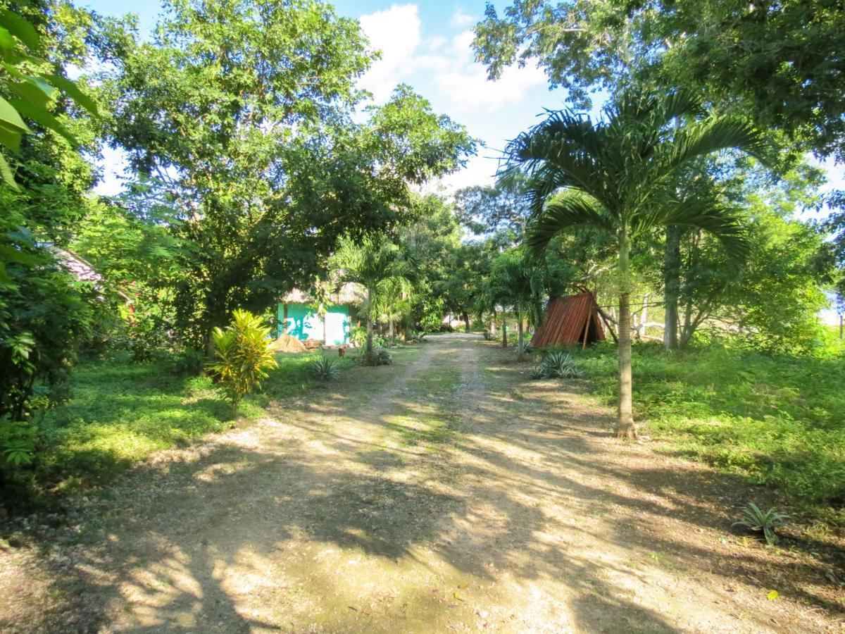 Vila Cabanas Calakmul Conhuas Exteriér fotografie