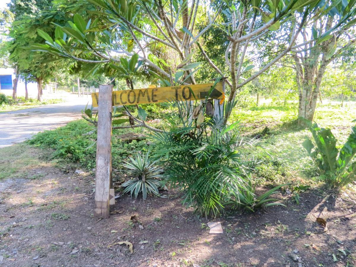 Cabanas Calakmul Conhuas Exteriér fotografie