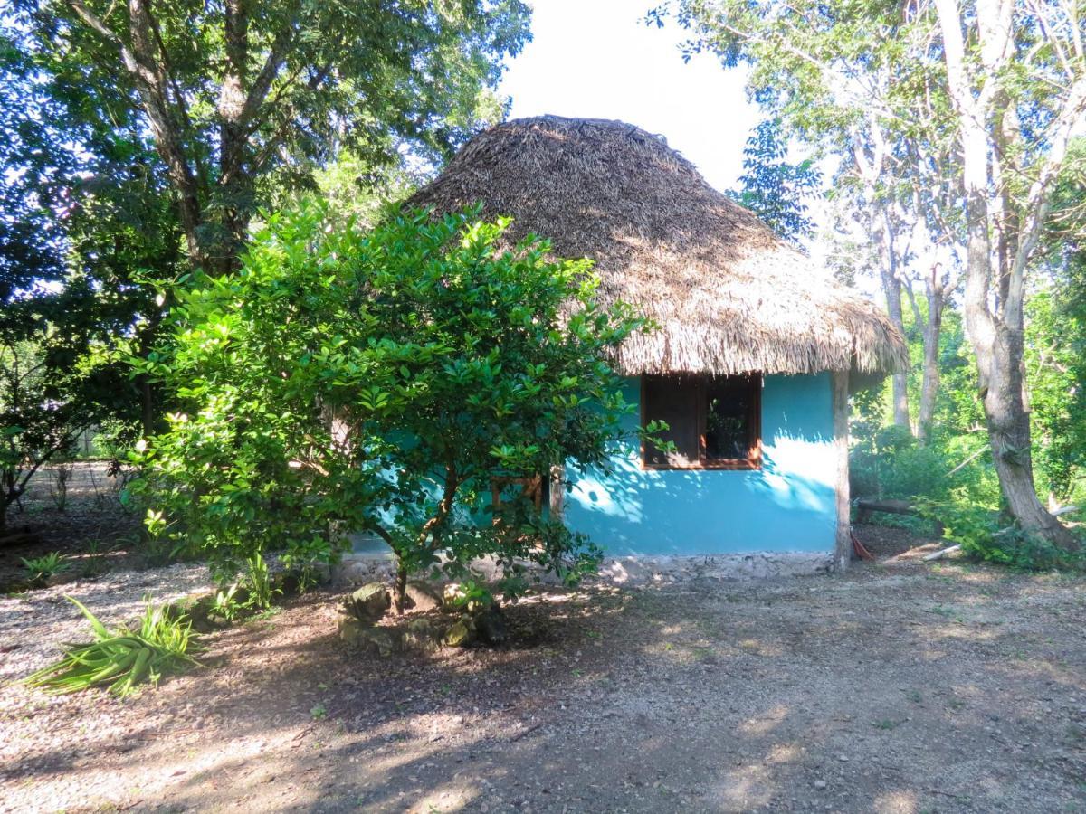 Vila Cabanas Calakmul Conhuas Exteriér fotografie