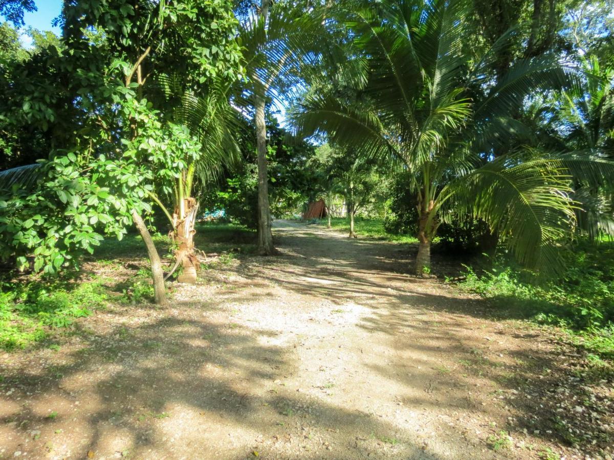 Vila Cabanas Calakmul Conhuas Exteriér fotografie